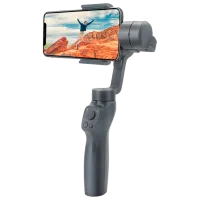 Стабилизатор Remax P20 Серый