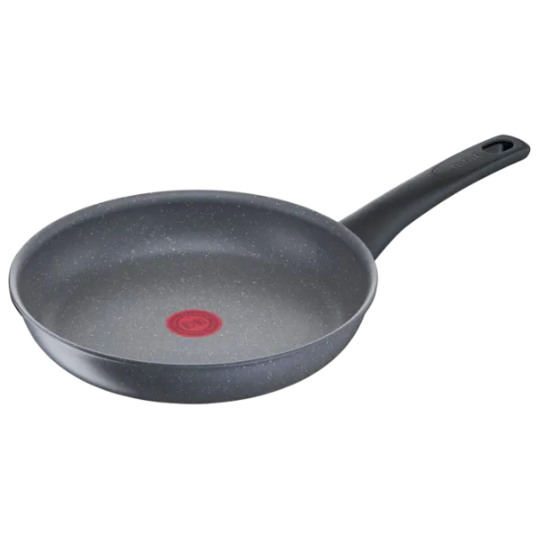 Сковорода Tefal Healthy Chef G1500472 Классический/ 24 см/ Серый photo 1