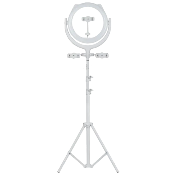 Штатив с круглой лампой Remax CK-01 Selfie Ring Light 12 300 мм Белый photo 1
