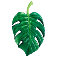 Saltea gonflabilă Intex 58782 Vinil/ Green