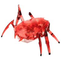 Робот Hexbug Scarab Разноцветный