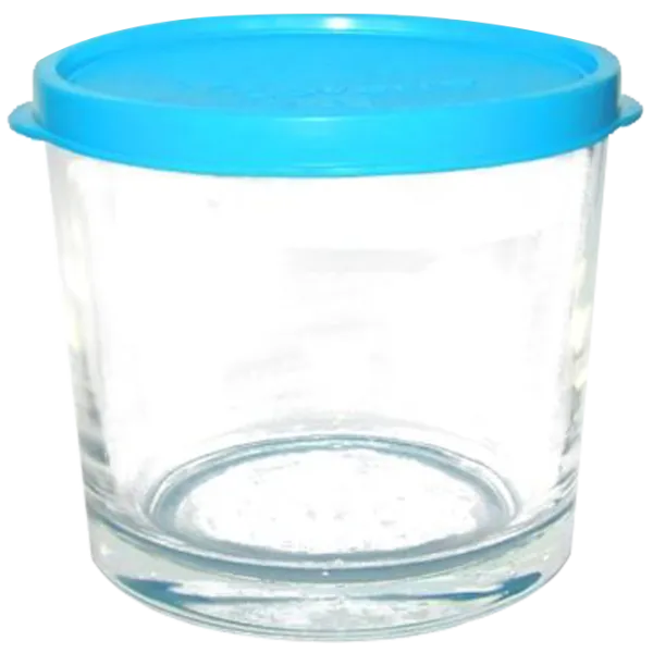 Container Bormioli Rocco Frigoverre 0.35 l/ Sticlă/ Transparent photo 1