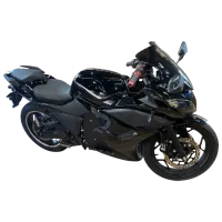 Электрический мотоцикл Roadlink Horizon 17"/ Черный