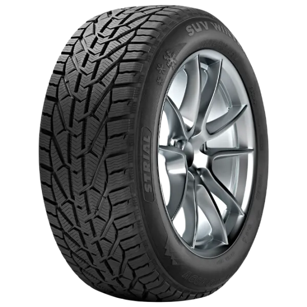 Шины Tigar Winter 225/ 40 R18 95V Зима/ Внедорожник photo 1 Шины Tigar Winter 225/ 40 R18 95V Зима/ Внедорожник photo 1
