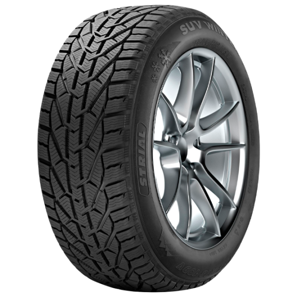 Шины Tigar Winter 225/ 40 R18 95V Зима/ Внедорожник photo 1 Шины Tigar Winter 225/ 40 R18 95V Зима/ Внедорожник photo 1