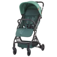 Детская коляска Chipolino Roxy 3800931041229/ Зелёный