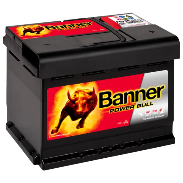 Авто аккумулятор Banner Power Bull P62 19 550A photo 1