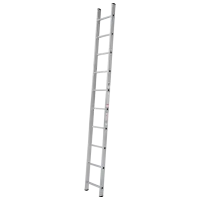 Лестница Technoworker DLE110 1x10 150 кг