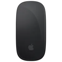 Мышь Apple Magic Mouse Multi-Touch Surface Черный