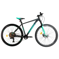 Bicicletă Crosser 075-C 29" 19" Aluminiu/ Green Gray