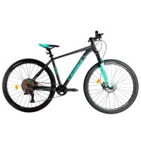Bicicletă Crosser 075-C 29" 17" Aluminiu/ Green Gray