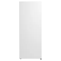 Морозильник Ozon OZ-218FN Белый