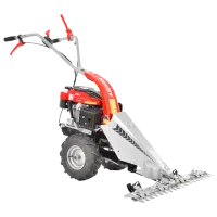 Mașină de tuns iarbă pe benzină Hecht 587 Cu autopropulsie