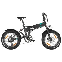 Электровелосипед FIIDO M21 20" Горный/ Черный