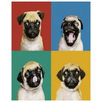 Pictură pe numere BrushMe Colaj MOPS GX37566 50 x 40 cm/ Verticală