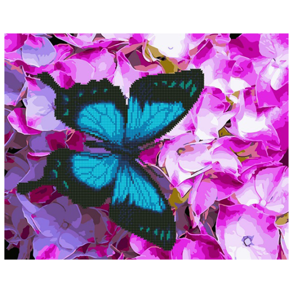 Pictură pe numere BrushMe Fluture pe flori GZS1132 50 x 40 cm/ Orizontală photo 1 Pictură pe numere BrushMe Fluture pe flori GZS1132 50 x 40 cm/ Orizontală photo 1