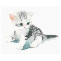 Картина по номерам BrushMe Котенок акварелью GT66034 50 x 40 см/ Горизонтальная