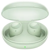 Căști Realme Buds Q2s Green Fără fir/ Personal