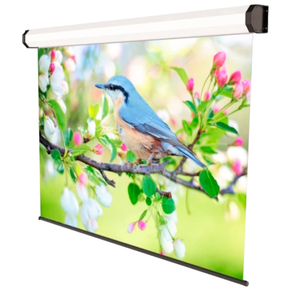 Ecran pentru proiector Sopar Professional 219 cm/ 350 cm/ Pe perete/ White photo 1 Ecran pentru proiector Sopar Professional 219 cm/ 350 cm/ Pe perete/ White photo 1