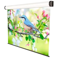 Экран для проектора Sopar Professional 219 см/ 350 см/ Настенная/ Белый