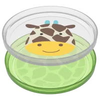 Набор Skip Hop Zoo Унисекс/ 6+/ Разноцветный