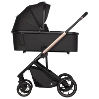 Детская коляска Cavoe MOI 2 in 1 31455-04/ Черный