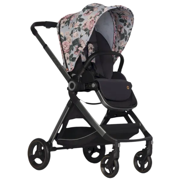 Cărucior pentru copil Cavoe OSIS 31457-02/ Multicolor photo 1
