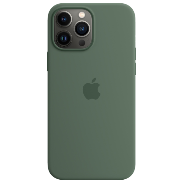 Husă pentru smartphone Apple iPhone 13 Pro Max Apple/ Back/ TPU/ Eucalyptus Green photo 1