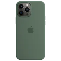 Husă pentru smartphone Apple iPhone 13 Pro Max Apple/ Back/ TPU/ Eucalyptus Green