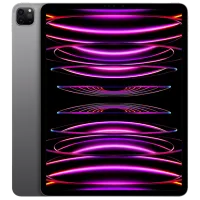 Tabletă Apple iPad Pro 2022 12.9"/ Space Gray/ 256 GB/ Wi-Fi/ MNXR3RK/ A