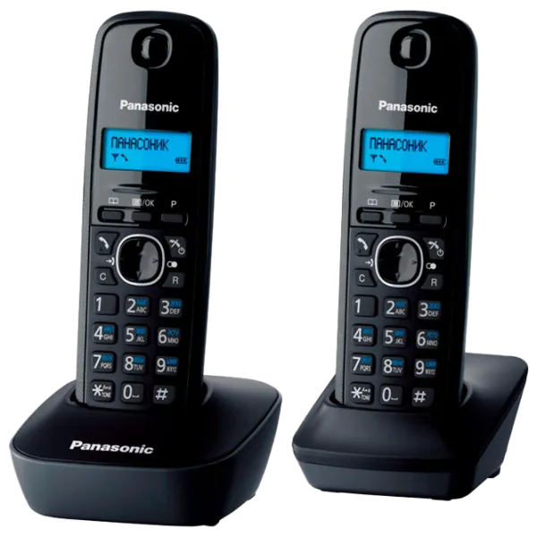 Panasonic KX-TG1612UAH Серый photo 1