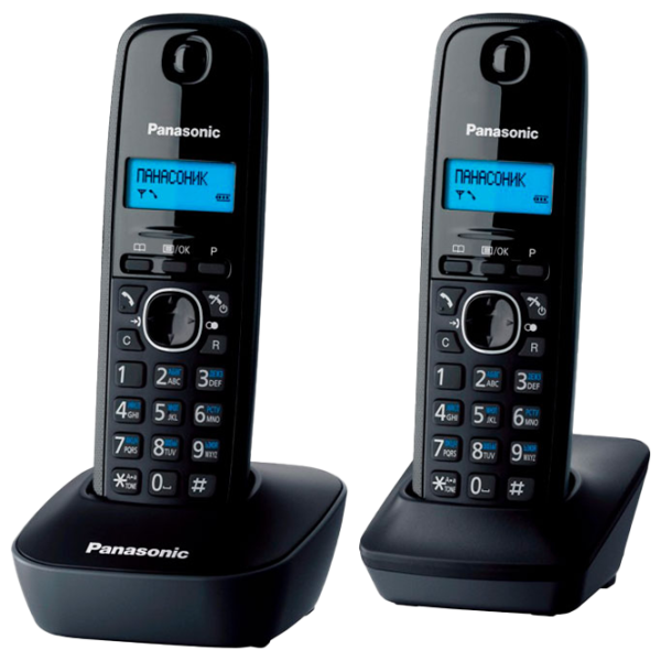 Panasonic KX-TG1612UAH Серый photo 1