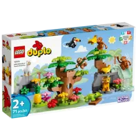Constructor LEGO Animale sălbatice din America de Sud Fermă/ Multicolor