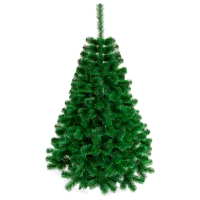 Brad Anma Caucasian ZK 150cm/ Green