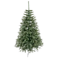 Brad Anma Lena P15 250cm/ Green