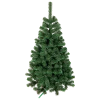 Brad Anma Bronze 180cm/ Green