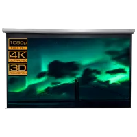 Ecran pentru proiector Reflecta Crystal-Line Motor RC lux 87696 293 cm/ 400 cm/ Pe perete/ Black