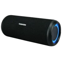 Портативная колонка Toshiba TY-WSP201 20 Вт/ Черный