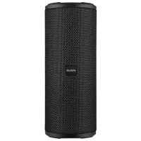 Портативная колонка Sven PS-300 24 Вт/ Черный
