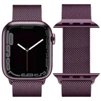 Ремешок Apple Watch WA03 Simple beauty series 38, 40, 41 мм Металл/
38, 40, 41 мм / Черный Currant
