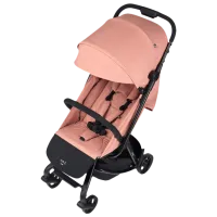 Детская коляска Anex Air-Z AZ-05/ Розовый