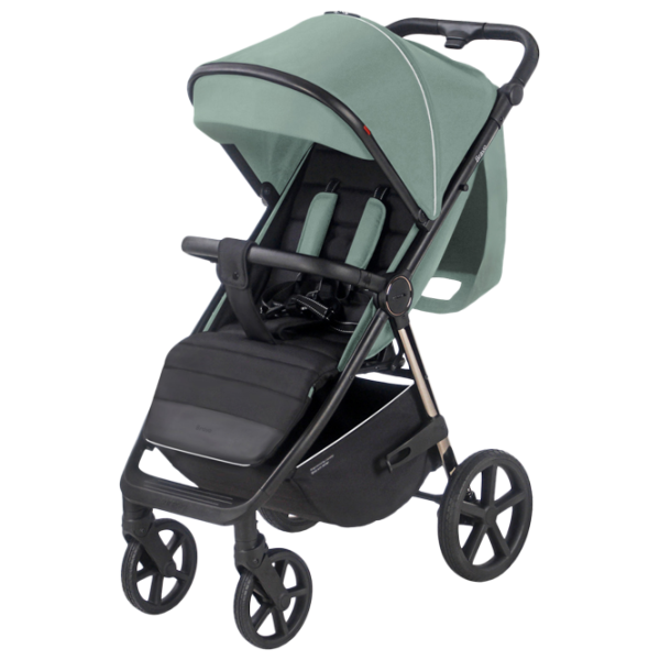 Cărucior pentru copil Carrello Bravo Plus 2023 596-005/ Green photo 1
