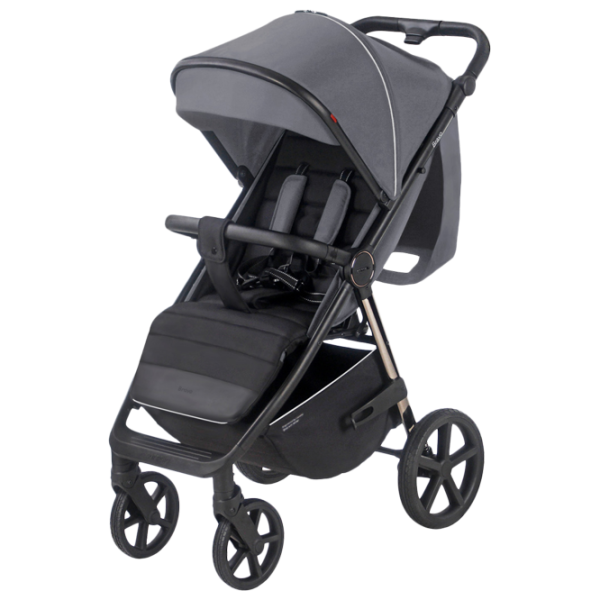 Cărucior pentru copil Carrello Bravo Plus 2023 596-007/ Gray photo 1