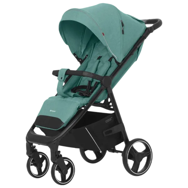 Cărucior pentru copil Carrello Bravo 2023 594-007/ Green photo 1