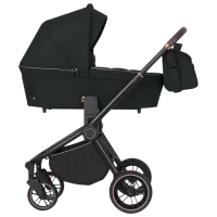 Cărucior pentru copil Carrello Epica 2 in 1 (E70) 609-001/ Black