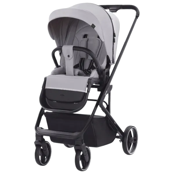 Cărucior pentru copil Carrello Alfa 2 in 1 (E88) 466-001/ Light Gray photo 1