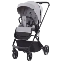 Cărucior pentru copil Carrello Alfa 2 in 1 (E88) 466-001/ Light Gray