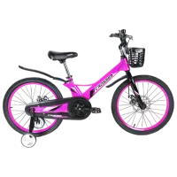 Bicicletă Crosser Hunter 20" Aliaj de magneziu/ Violet Black