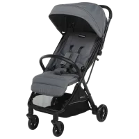 Детская коляска FoppaPedretti Jumbo 2988-003/ Серебристый