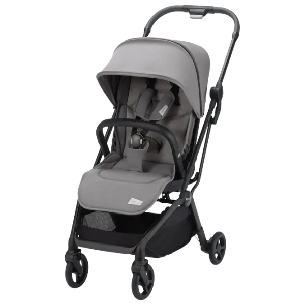 Cărucior pentru copil Recaro Lexa Elite 5619-003/ Gray photo 1